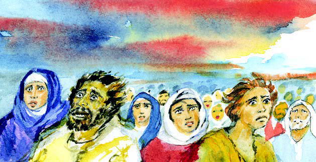 30 de noviembre | 1er Domingo de Adviento