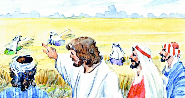 14 de junio – 11o Domingo del T. Ordinario